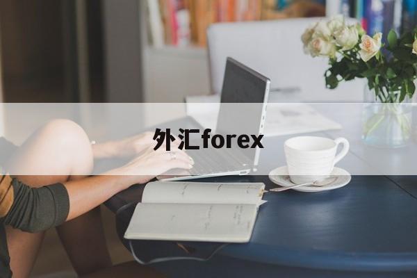 外汇forex(外汇forex是什么意思)